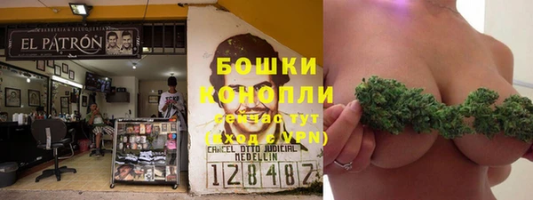 каннабис Белокуриха