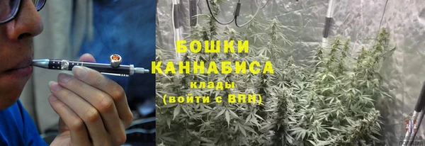 каннабис Белокуриха